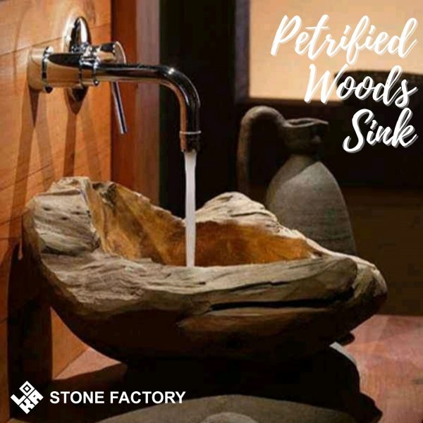 Petrified Wood Sink - Image 5