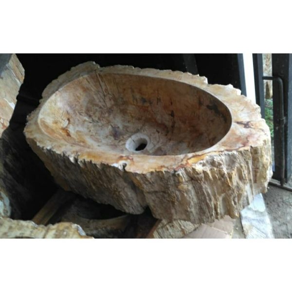 Petrified Wood Sink - Image 6